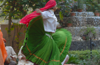 Saphera culture green skirt