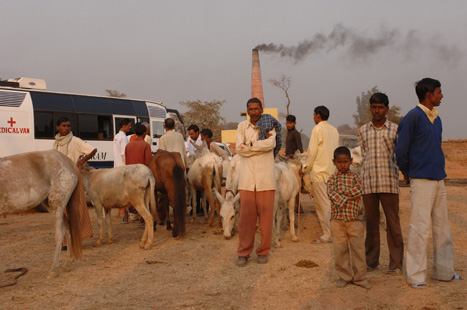 Work Camp Bhatta Donkey
