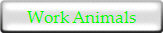 Work Animal Care