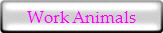 Work Animal Harness